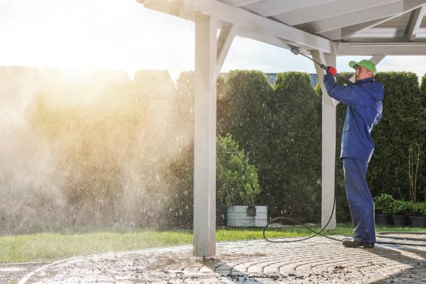 Pre-Holiday Cleaning in Redwood Valley, CA